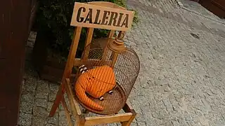 Gallery Installation - Lublin