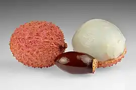 Le fruit du Litchi et sa graine.