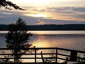 Image illustrative de l’article Lygnern