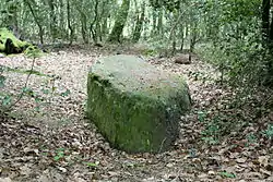 Image illustrative de l’article Grès de Saint-Méen