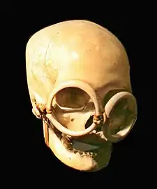 Crâne d'ancêtre. Îles Salomon. Os, dents, coquillages, fibres, H. 16&nbsp;cm. 1850-1950