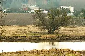 Lubowo (Grande-Pologne)