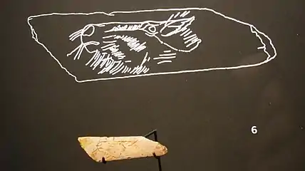 Relevé de la tête de cheval gravée.