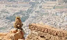 Vue depuis un fort qui surplombe la ville.