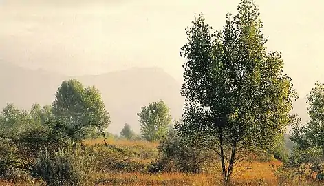 Paysage des Magredi&nbsp;(it) en Frioul-Vénétie julienne en 2004.