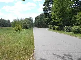 Maksymilianów (Węgrów)