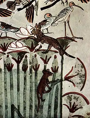 Détail d'un papyrus, avec un chat volant les œufs des oiseaux aquatiques. De la tombe de Menna, plâtre peint, première moitié du XIVe&nbsp;siècle avant J.-C., Thèbes.