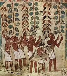 Vendange sur hautain