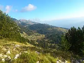 Image illustrative de l’article Tomorrnitsa