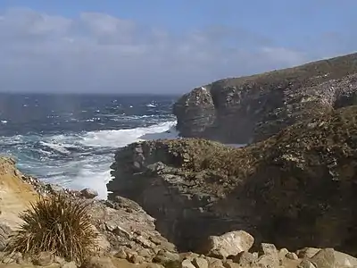 Paysage de la côte Ouest.