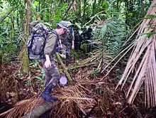 Progression en forêt équatoriale.