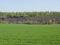 Le terril no&nbsp;143A.