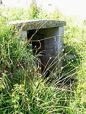 La fontaine couverte du lavoir, dont le bassin est caché par la végétation.