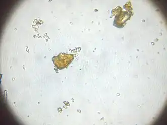 JSC Mars-1A grossi 400 fois.