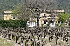 Image illustrative de l’article Coteaux-d'aix-en-provence