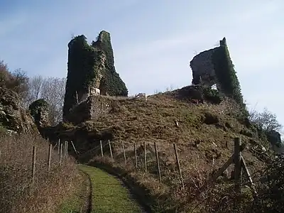 Ruines du château.