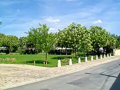 Jardin public, rue du Petit marais.