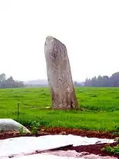 Photographie d'un menhir dans un champ.