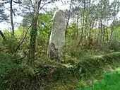 Le menhir de Lann Menhir.