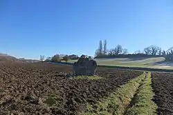 Image illustrative de l’article Menhir de Sainte-Carissime