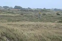 Image illustrative de l’article Menhir de la pointe d'Er-Limouzen