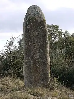 Image illustrative de l’article Menhir dels Palaus