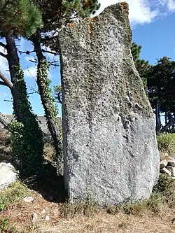 Image illustrative de l’article Menhir du Reun