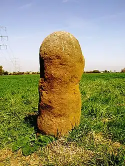 Image illustrative de l’article Menhir de Bürstadt