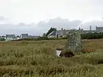 Le menhir de Lehan, dans son étang,&nbsp;Classé&nbsp;MH (1923).