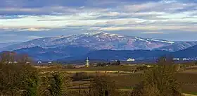 Vue du Kandel depuis le Tuniberg.