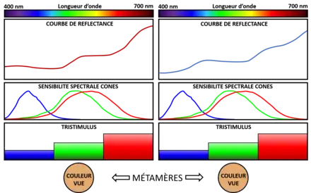 Exemple de métamérisme de deux lumières colorées. Leur spectre est différent, mais la vision humaine les perçoit de la même façon.
