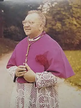 Image illustrative de l’article Francis Barbu