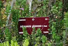 Panneau couleur rouge au milieu d'une plante