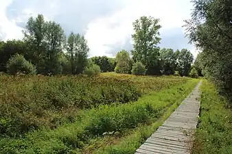 Le GR VA dans le Middenloop Zwalm (nl)