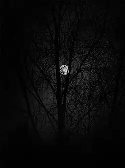 Image illustrative de l’article Mitternacht, WAB 80