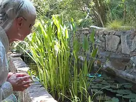 Image illustrative de l’article Jardin botanique privé L'Hardy-Denonain