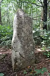 Menhir de Kergoulouët