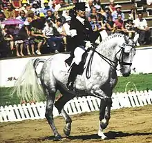 Une cavalière sur un cheval gris dans une épreuve de présentation aux Jeux olympiques d'été de 1980.