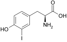Monoiodotyrosine (MIT).