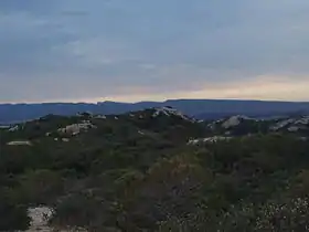 Vue du plateau sommital de la Montagnette