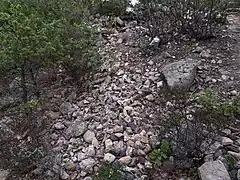 Cailloux, galets et gros blocs près du sommet du Montcamill, d'une grande variété de formations rocheuses. Ces "boulder beds" seraient d'âge pliocène.