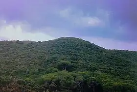 Image illustrative de l’article Monte Puccio