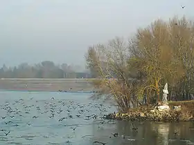 Pointe de l'Île de Chalonnes.