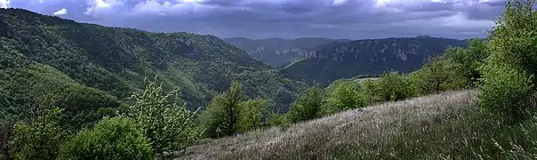 Gorges de la Dourbie à Montméjean.