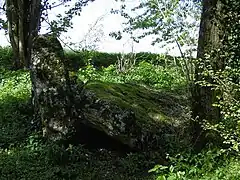 Dolmen du Trou-du-Bœuf