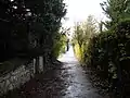 Ruelle goudronnée bordée de murs et de verdure