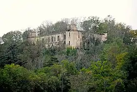 Image illustrative de l’article Château de Montpinier
