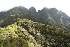 Vue du morne de Fourche sous les nuages depuis le dernier parking de la route forestière du Haut Mafate.