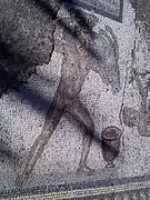 Fragment de la mosaïque des travaux d'Hercule, IIIe siècle, sanglier d'Erymanthe