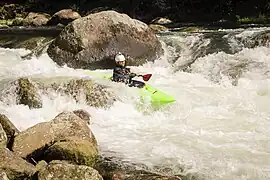 Entrée de « Mother's Nightmare ».